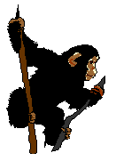 chimpanize