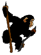 chimpanize